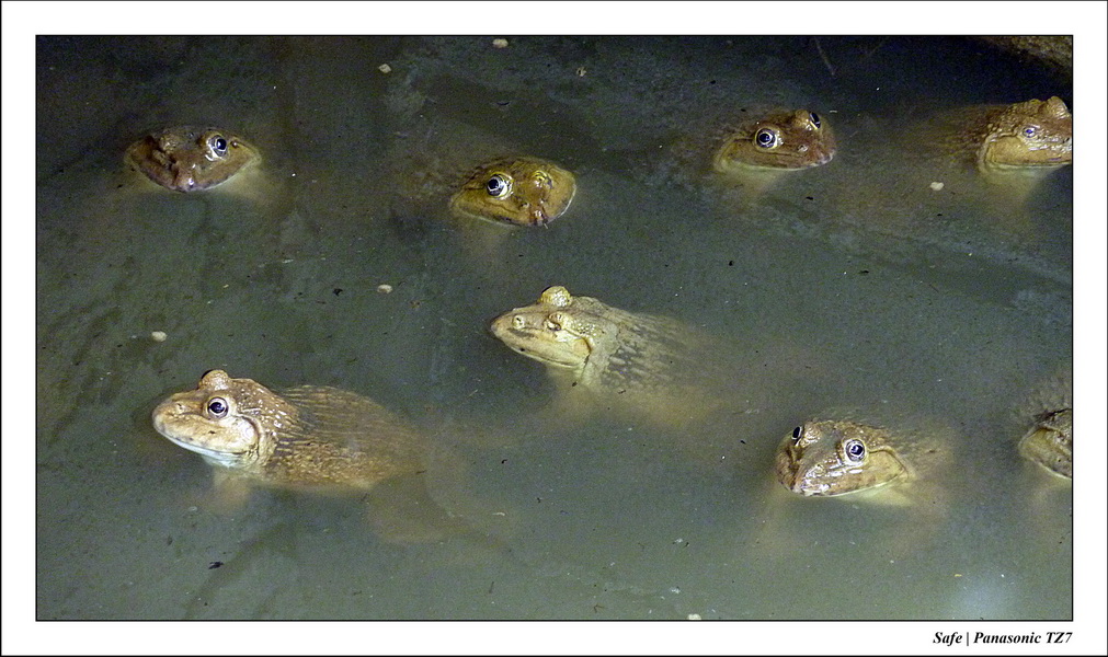 2012 - 03 - Koh Lanta 30